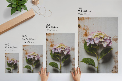 Lienzo decorativo moderno Hortensias rosas, hojas verdes, fondo rústico