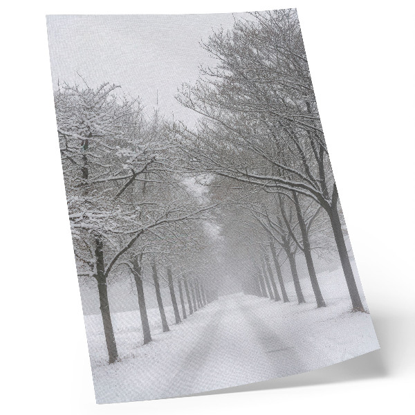 Póster Avenida simétrica de árboles invernales, nieve y niebla.
