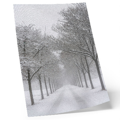Póster Avenida simétrica de árboles invernales, nieve y niebla.