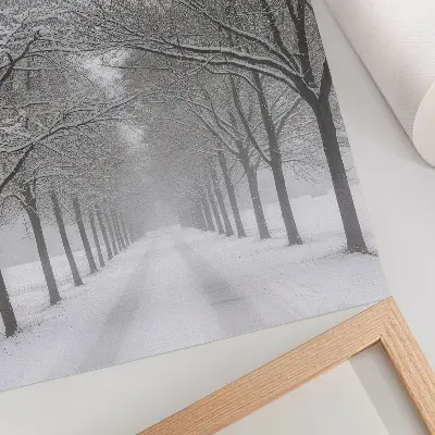 Póster avenida simétrica de árboles invernales con nieve y niebla