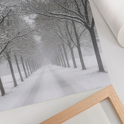 Póster Avenida simétrica de árboles invernales, nieve y niebla.