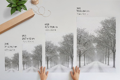 Póster Avenida simétrica de árboles invernales, nieve y niebla.
