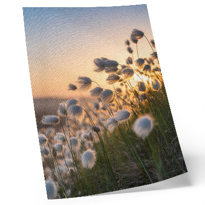 Póster con colores saturados Hierbas al atardecer, colores cálidos, naturalidad.