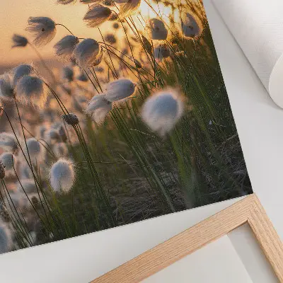 Póster de hierbas al atardecer con colores saturados y tonos cálidos