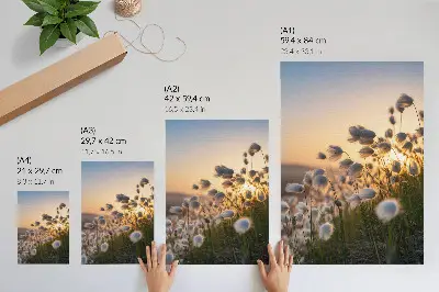 Póster de hierbas al atardecer con colores saturados y tonos cálidos