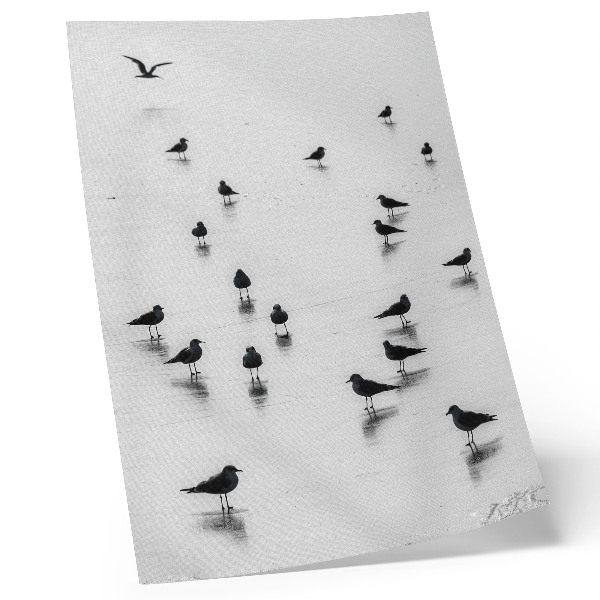 Póster Pájaros sobre el agua, reflejos sutiles, minimalismo.