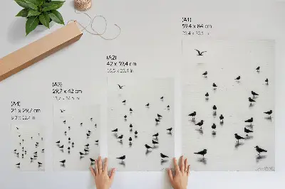 Póster pájaros sobre el agua con reflejos sutiles de estilo minimalista