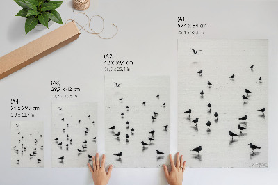 Póster Pájaros sobre el agua, reflejos sutiles, minimalismo.
