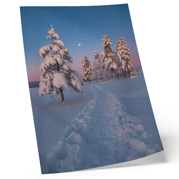 Lámina artística de alta calidad Paisaje invernal con árboles cubiertos de nieve y la luna.