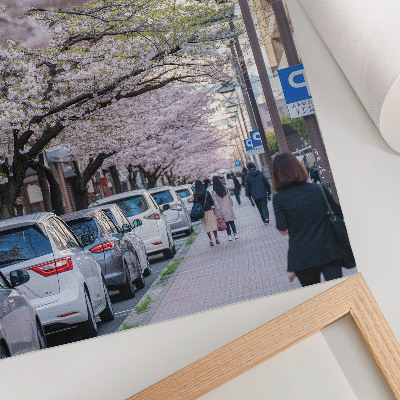 Lámina artística de alta calidad Una calle con cerezos en flor y coches aparcados.