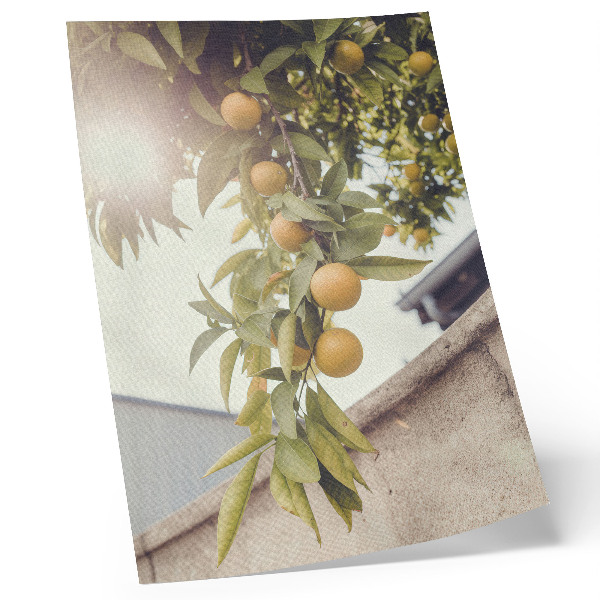 Lienzo decorativo moderno Rama de árbol, sol, hojas verdes, naranja
