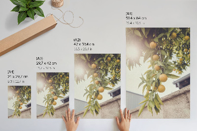 Lienzo decorativo moderno Rama de árbol, sol, hojas verdes, naranja