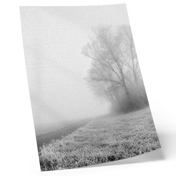 Lienzo decorativo moderno Niebla sutil, árboles, paisaje invernal, atmósfera tranquila