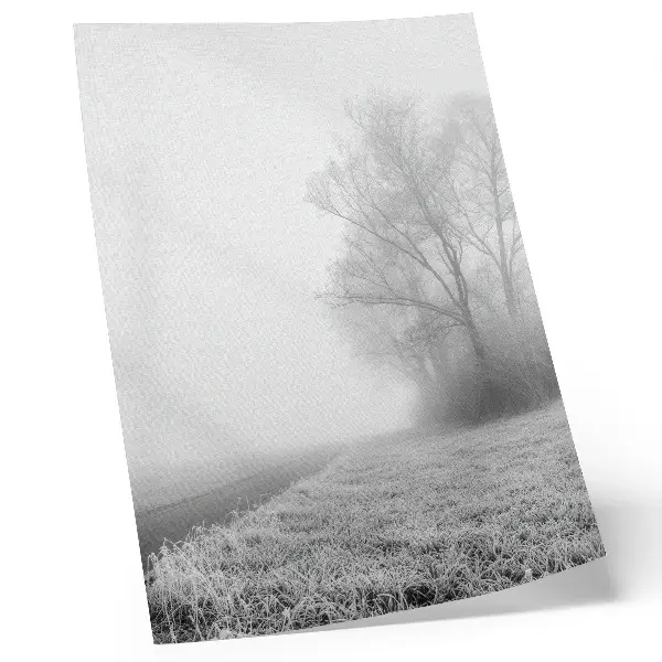 Lienzo decorativo moderno paisaje invernal de niebla sutil con árboles y atmósfera tranquila