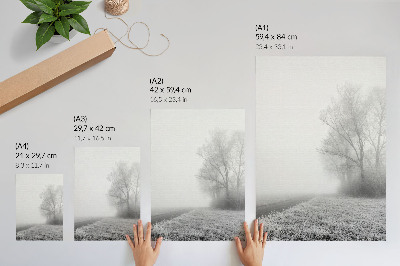 Lienzo decorativo moderno Niebla sutil, árboles, paisaje invernal, atmósfera tranquila