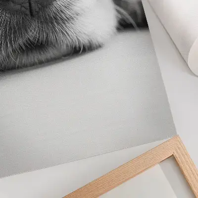 Póster de perro en blanco y negro primer plano con textura minimalista y colores saturados