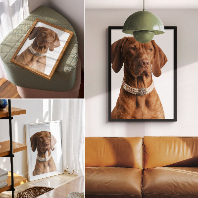 Collar elegante para perro con acabado lujoso