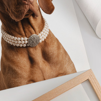 Collar elegante para perro con acabado lujoso