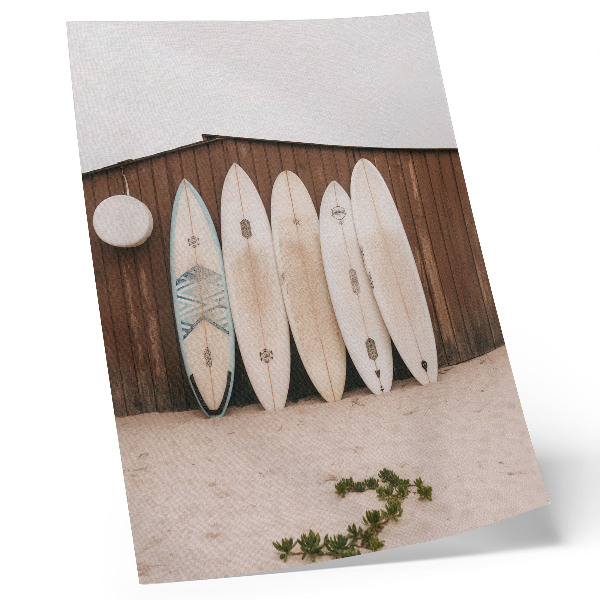 Póster Tablas de surf, pared de madera, verde delicado
