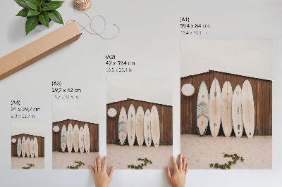 Póster Tablas de surf, pared de madera, verde delicado