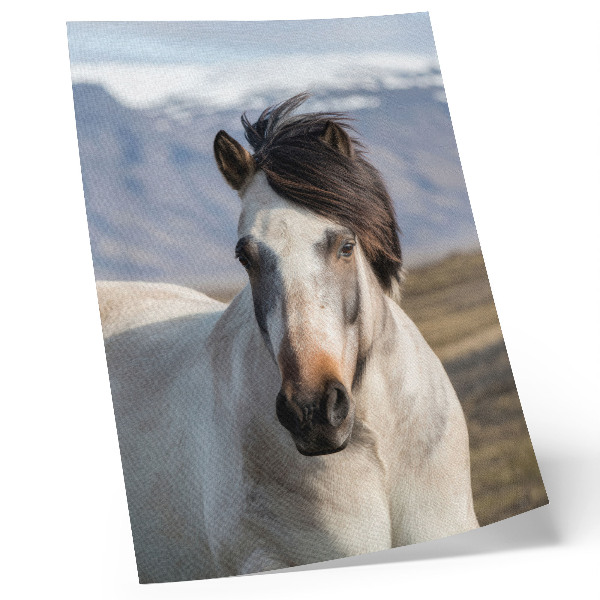 Lámina artística de alta calidad La belleza natural de un caballo con el telón de fondo de las montañas, tranquilidad, sencillez.