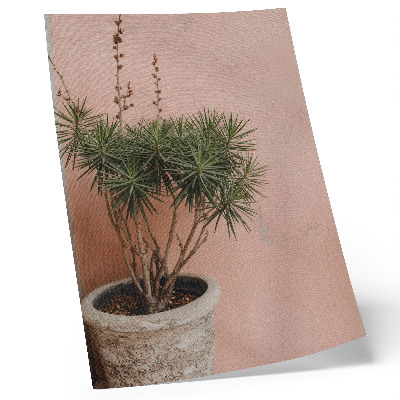Póster Planta verde sobre un fondo de pared color melocotón.