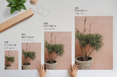 Póster Planta verde sobre un fondo de pared color melocotón.