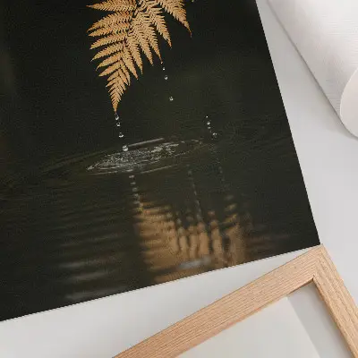 Lámina artística de alta calidad helecho sobre el agua con gotas armoniosas y reflejo