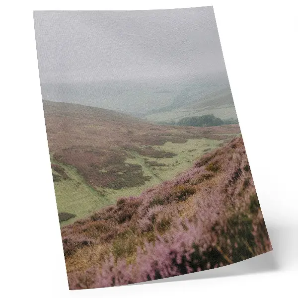 Póster de niebla de brezo púrpura en colinas verdes con colores saturados