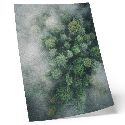 Póster Árboles verdes envueltos en una delicada niebla blanca.