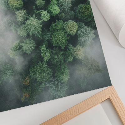 Póster Árboles verdes envueltos en una delicada niebla blanca.