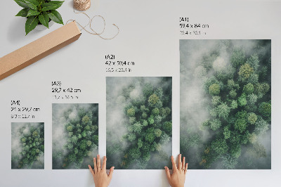 Póster Árboles verdes envueltos en una delicada niebla blanca.