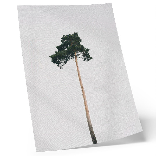 Póster con colores saturados Un árbol solitario sobre un fondo claro con minimalismo.