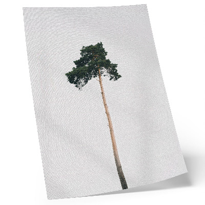 Póster con colores saturados Un árbol solitario sobre un fondo claro con minimalismo.