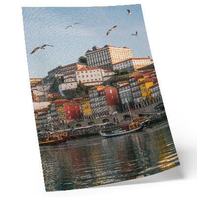Póster Edificios de apartamentos coloridos, barcos elegantes, gaviotas