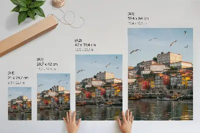 Póster con edificios de apartamentos coloridos, barcos elegantes y gaviotas