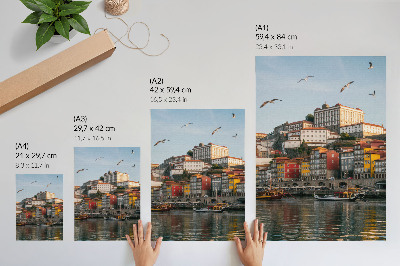 Póster Edificios de apartamentos coloridos, barcos elegantes, gaviotas