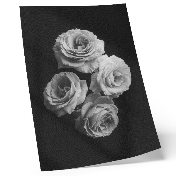 Póster con colores saturados Rosas blancas y negras, minimalismo, elegancia clásica