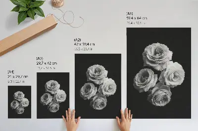 Póster de rosas blancas y negras con diseño minimalista y elegancia clásica de colores saturados