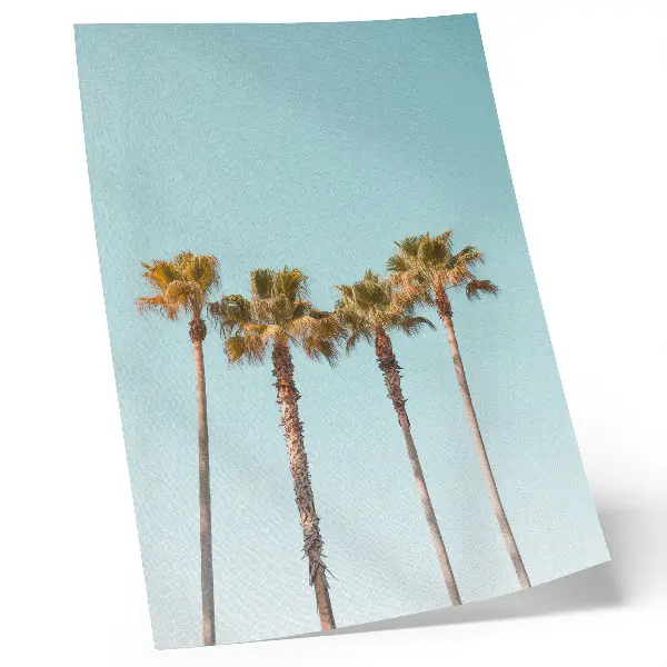 Póster palmeras sobre un fondo azul que evocan paz y naturaleza en vacaciones