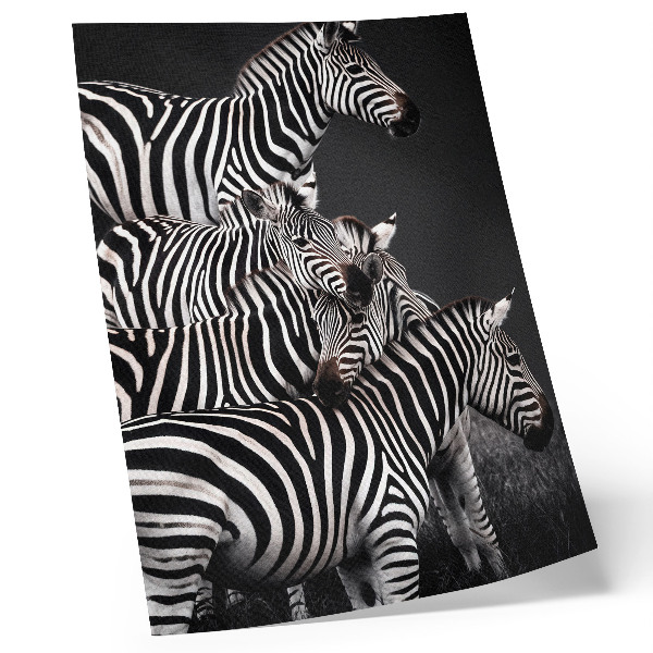 Póster con colores saturados Cebra con líneas verticales contrastantes en blanco y negro