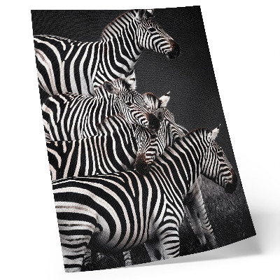 Póster con colores saturados Cebra con líneas verticales contrastantes en blanco y negro