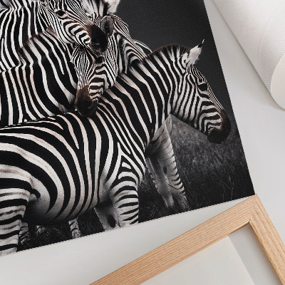 Póster con colores saturados Cebra con líneas verticales contrastantes en blanco y negro