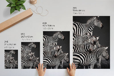 Póster con colores saturados Cebra con líneas verticales contrastantes en blanco y negro