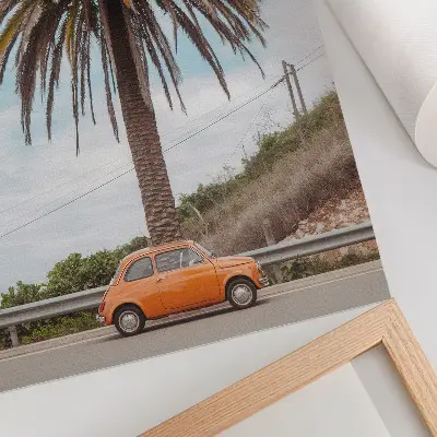 Lienzo decorativo moderno con diseño de palmera y coche retro en un entorno natural y despreocupado