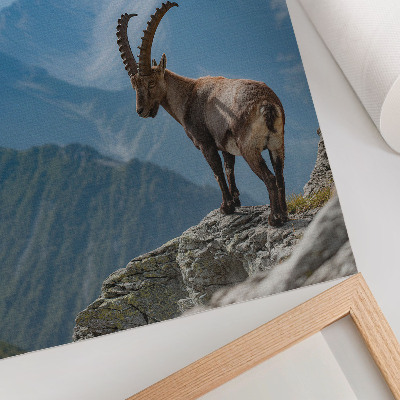 Póster Capricornio con las montañas como telón de fondo, armonía pacífica de la naturaleza.