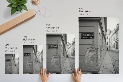 Póster de fachadas de edificios antiguos con detalles arquitectónicos y colores saturados