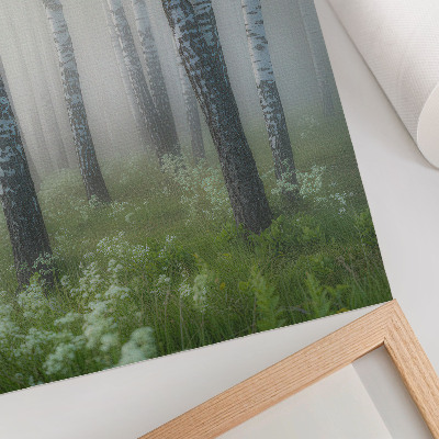 Póster Abedules en la niebla, corteza blanca, hierba verde