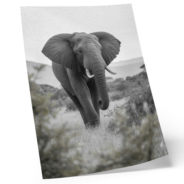 Póster con colores saturados Un gran elefante con un fondo natural.