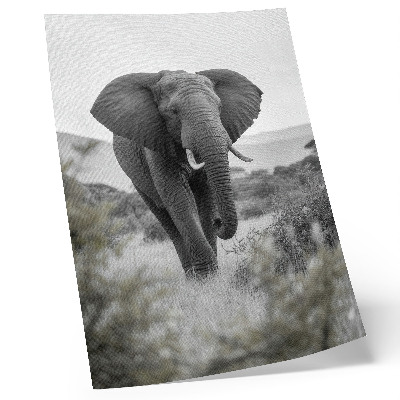 Póster con colores saturados Un gran elefante con un fondo natural.